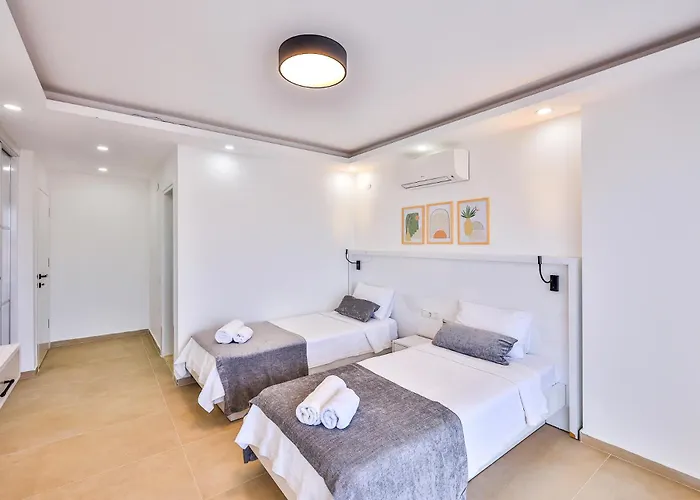 Elit Vista - * 卡斯