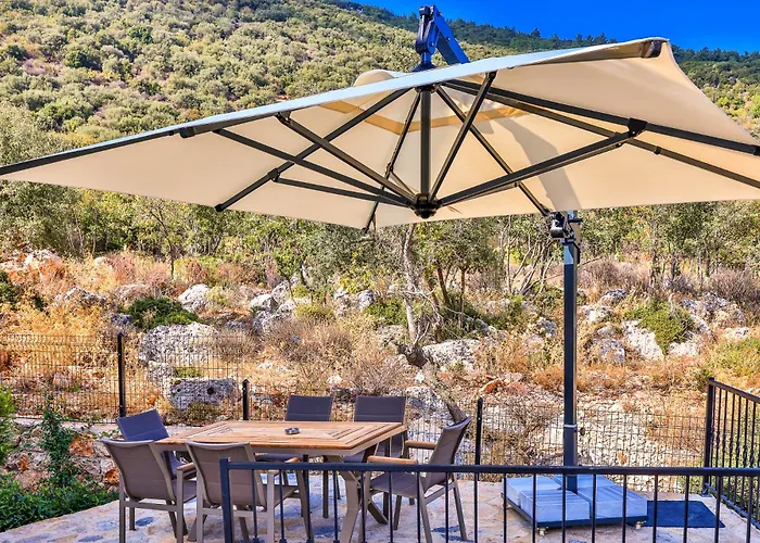 Elit Vista - * 卡斯